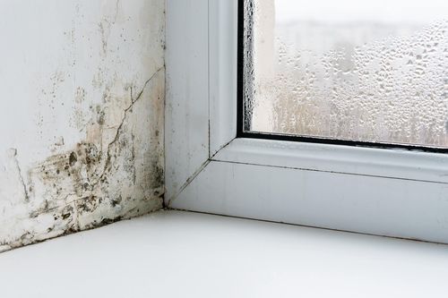 AdobeStock_398249331.jpeg
